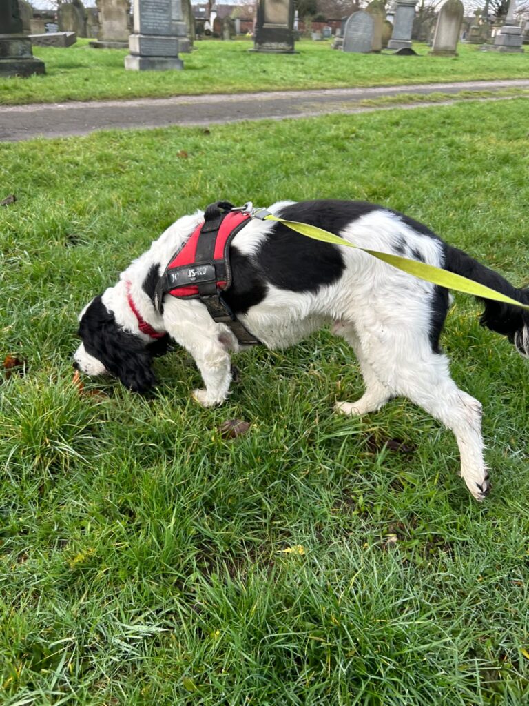 From Nerves to New Friends: A Journey of Trust